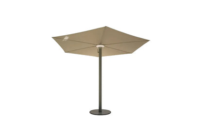 🎉Summer sale⛱️Anamon Parasol